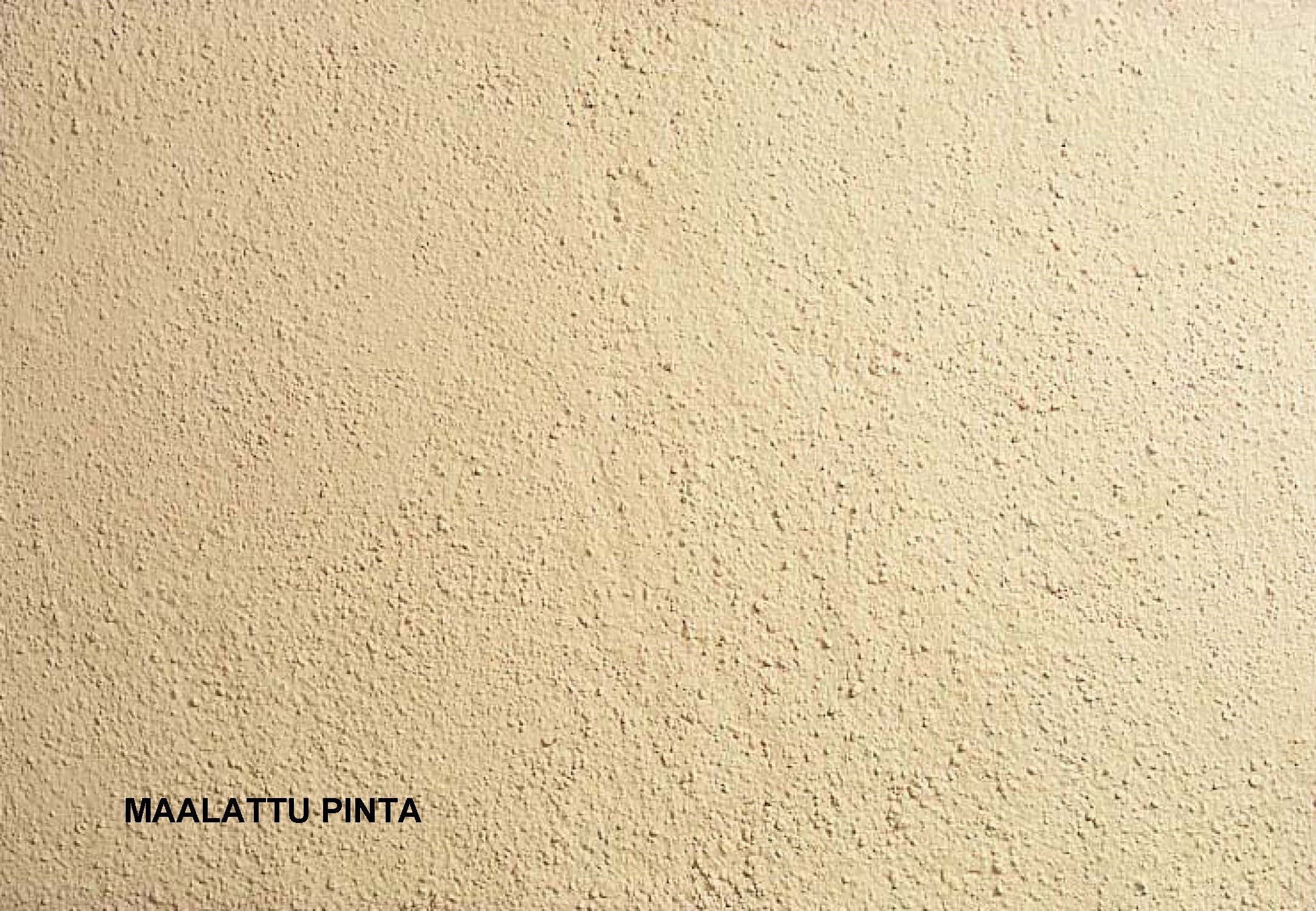 02 Maalattu pinta