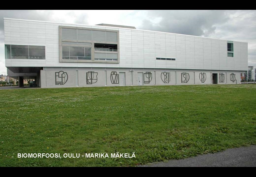 06 Biomorfoosi, Oulu